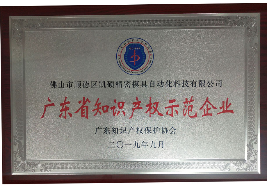 廣東省知識產權示范企業